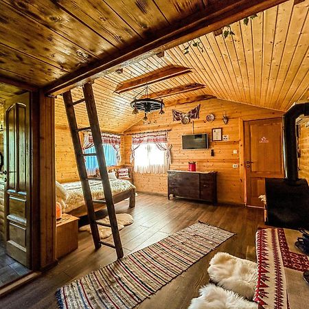 Chalets Du Bf Segesvár Kültér fotó