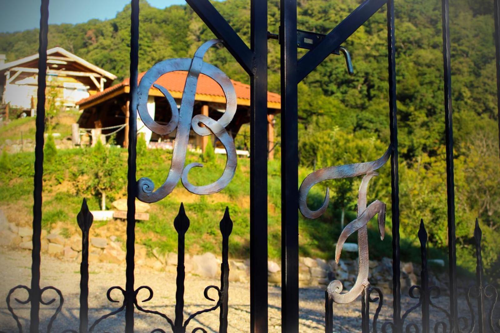 Chalets Du Bf Segesvár Kültér fotó